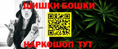 бошки Кингисепп