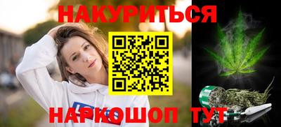 бошки Кингисепп