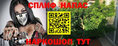эйфоретик Кимры