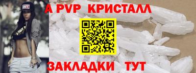 бошки Кингисепп