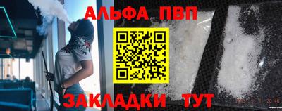 бошки Кингисепп