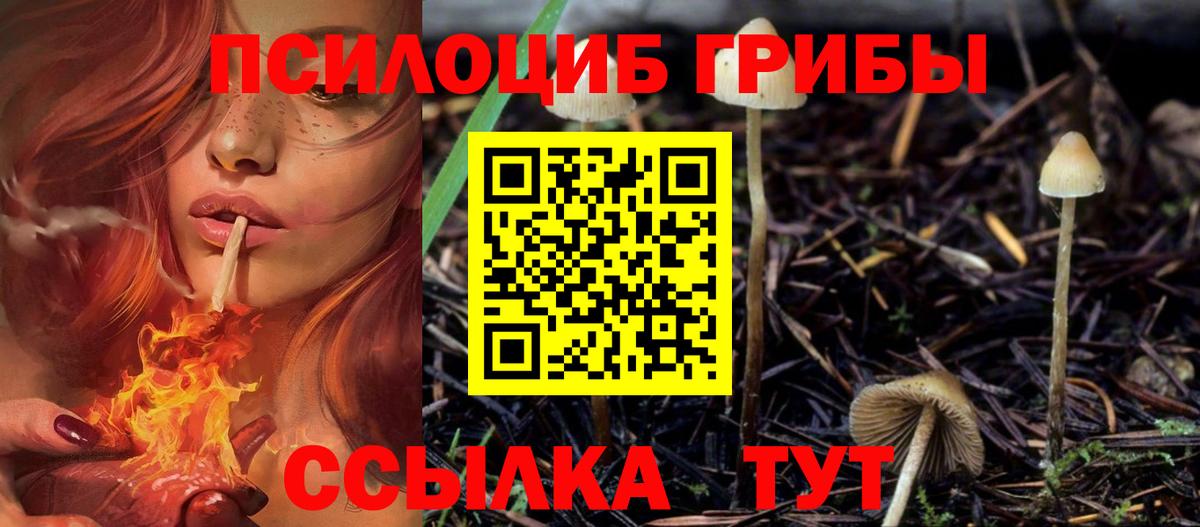 Галлюциногенные грибы мицелий Клинцы