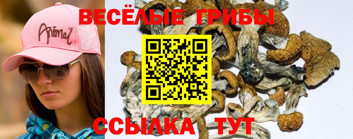 Галлюциногенные грибы мухоморы  Псилоцибиновые грибы мицелий  Клинцы  Вход с VPN 