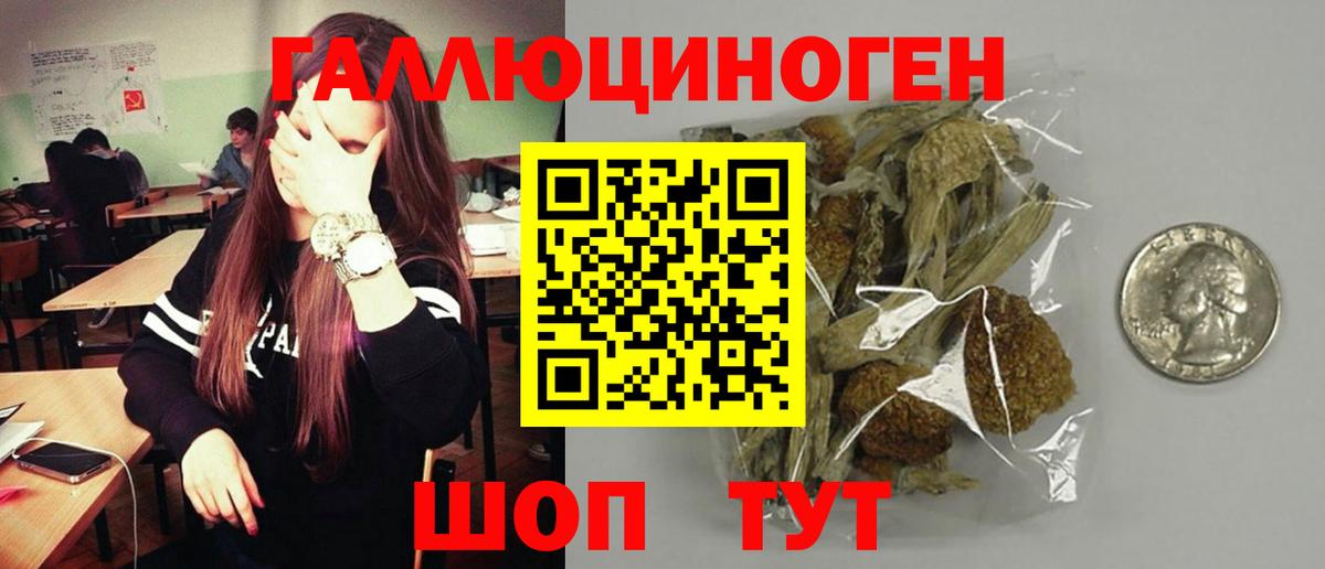 Псилоцибиновые грибы GOLDEN TEACHER Клинцы